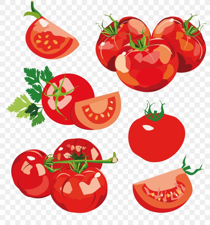 Vegetable Onion Chili Pepper Food Fruit, PNG, 8811x9455px, Vegetable, Bell Pepper, Cherry Tomato, Cherry Tomatoes, Chili Pepper Download Free