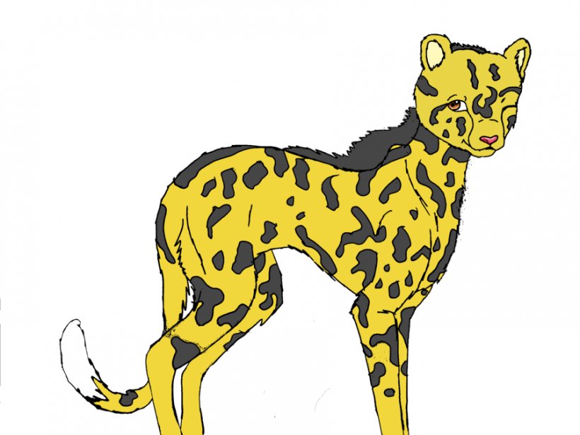 Cheetah Cat Lion Drawing Clip Art, PNG, 900x675px, Cheetah, Big Cats, Carnivoran, Cat, Cat Like Mammal Download Free