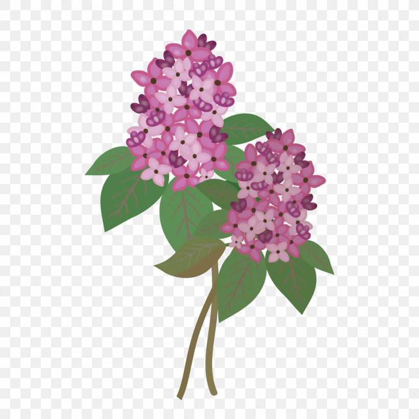 Common Lilac Cut Flowers, PNG, 1321x1321px, Common Lilac, Condominium, Cut Flowers, Designer, Flower Download Free