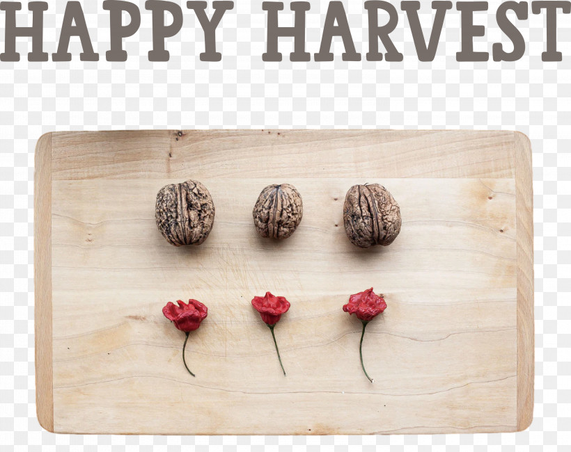 Happy Harvest Harvest Time, PNG, 3000x2381px, Happy Harvest, Drawing, Floor, Flower, Harvest Time Download Free