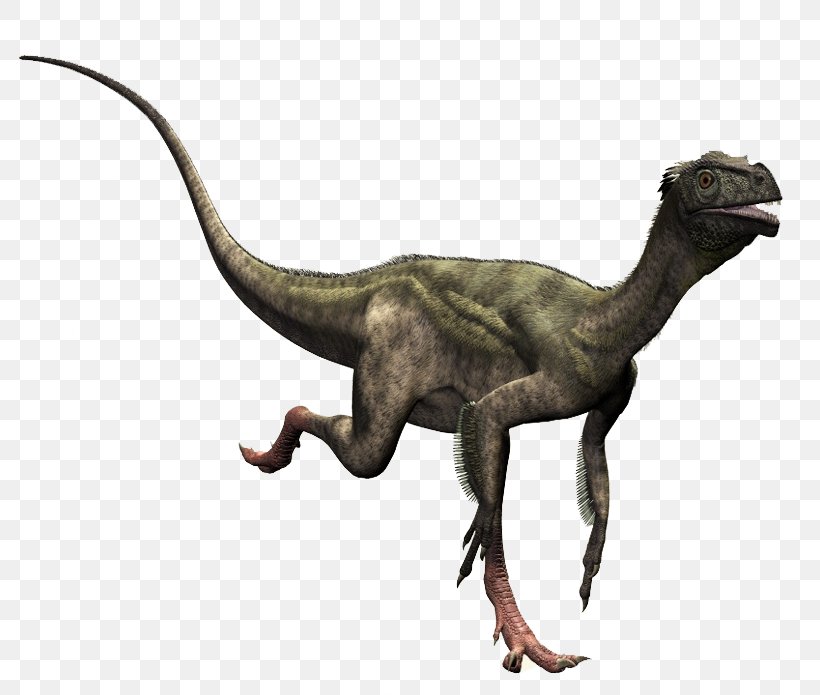 Ornitholestes Compsognathus Dilophosaurus Theropods Dinosaur, PNG, 816x695px, Ornitholestes, Animal Figure, Carcharodontosauridae, Carnivore, Compsognathus Download Free