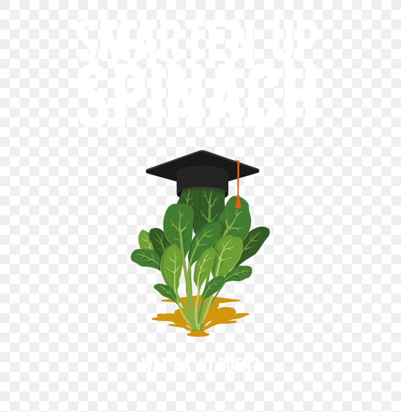 Seed Valley Projectbureau Blauwe Berg Spinach YouTube Vegetable, PNG, 611x842px, Spinach, Aquarium Decor, Flowerpot, Health, Leaf Download Free