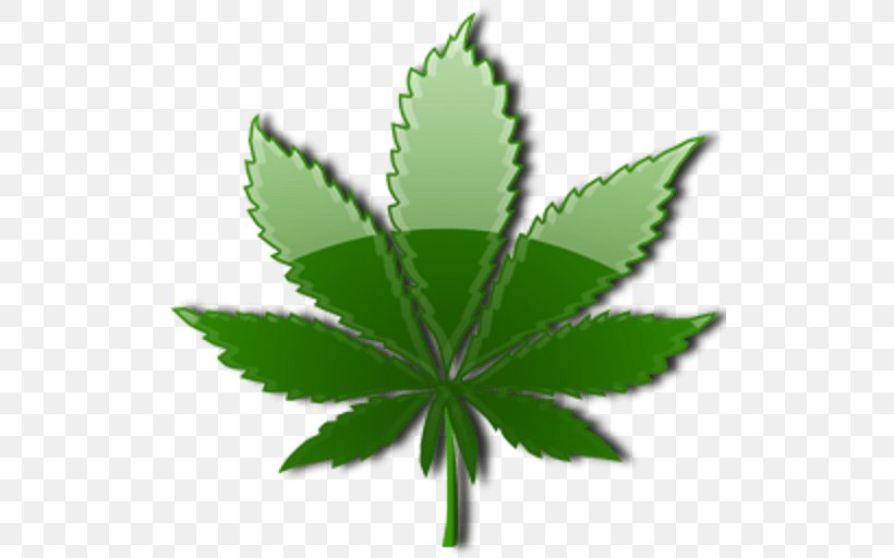 Cannabis Sativa Leaf Drug Endocannabinoid System, PNG, 512x512px, Cannabis, Cannabaceae, Cannabinoid, Cannabis Sativa, Drug Download Free