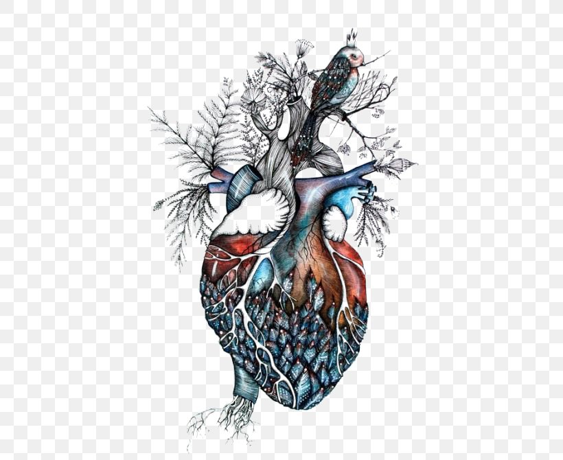 Drawing Southbound Heart Jeremy Poland Anatomy, PNG, 500x670px, Drawing, Anatomy, Art, Cd Baby, Costume Design Download Free