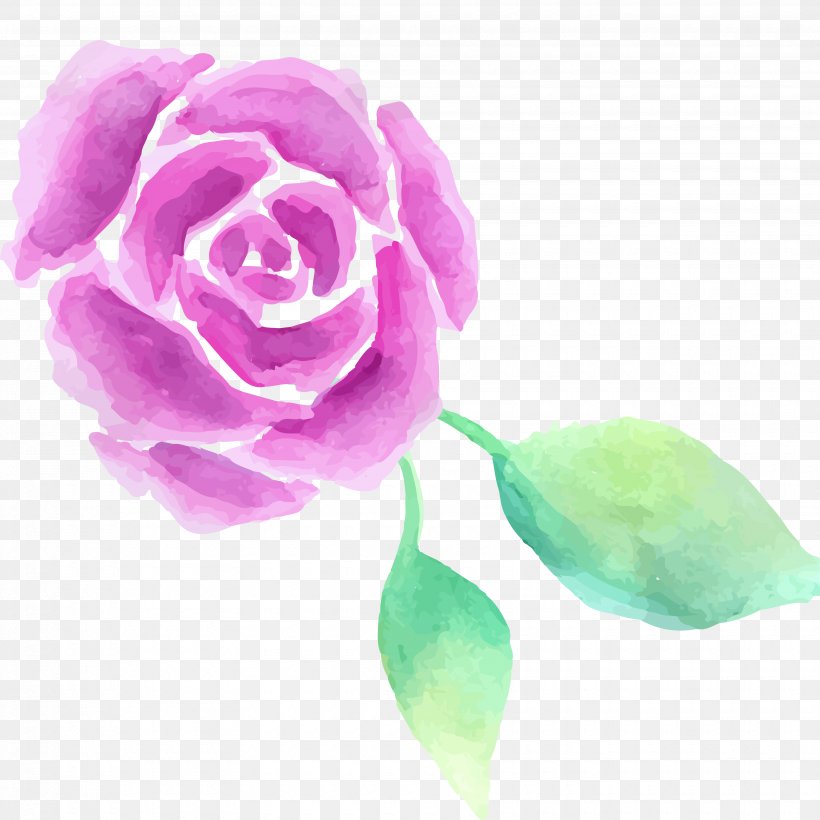 Garden Roses Centifolia Roses Watercolor Painting, PNG, 3500x3500px, Garden Roses, Centifolia Roses, Cut Flowers, Flower, Flowering Plant Download Free