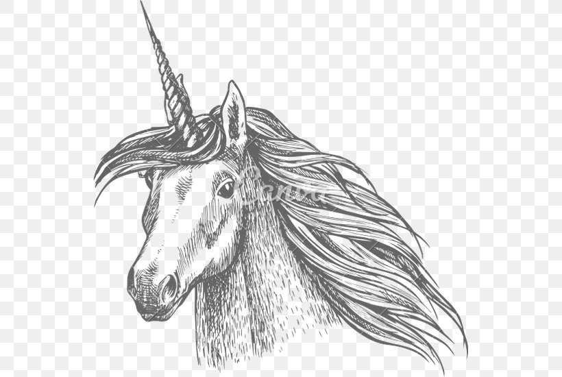 Horse Unicorn Sketch, PNG, 547x550px, Horse, Black And White, Bridle, Drawing, Fairy Tale Download Free