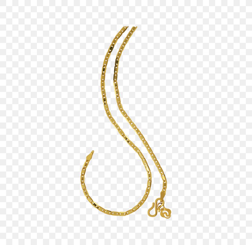 Jewellery Chain Gold Necklace, PNG, 800x800px, Jewellery, Body Jewellery, Body Jewelry, Chain, Clothing Download Free