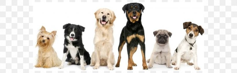 Dog Grooming Puppy Cat Pet, PNG, 900x279px, Dog, Animal Figure, Assistance Dog, Breed Group Dog, Cat Download Free