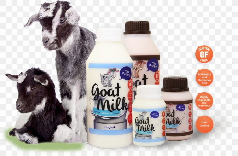 Goat Milk Hay Dairies Pte Ltd Goat Milk, PNG, 959x631px, Goat, Dairy, Dairy Farming, Dairy Products, Farm Download Free