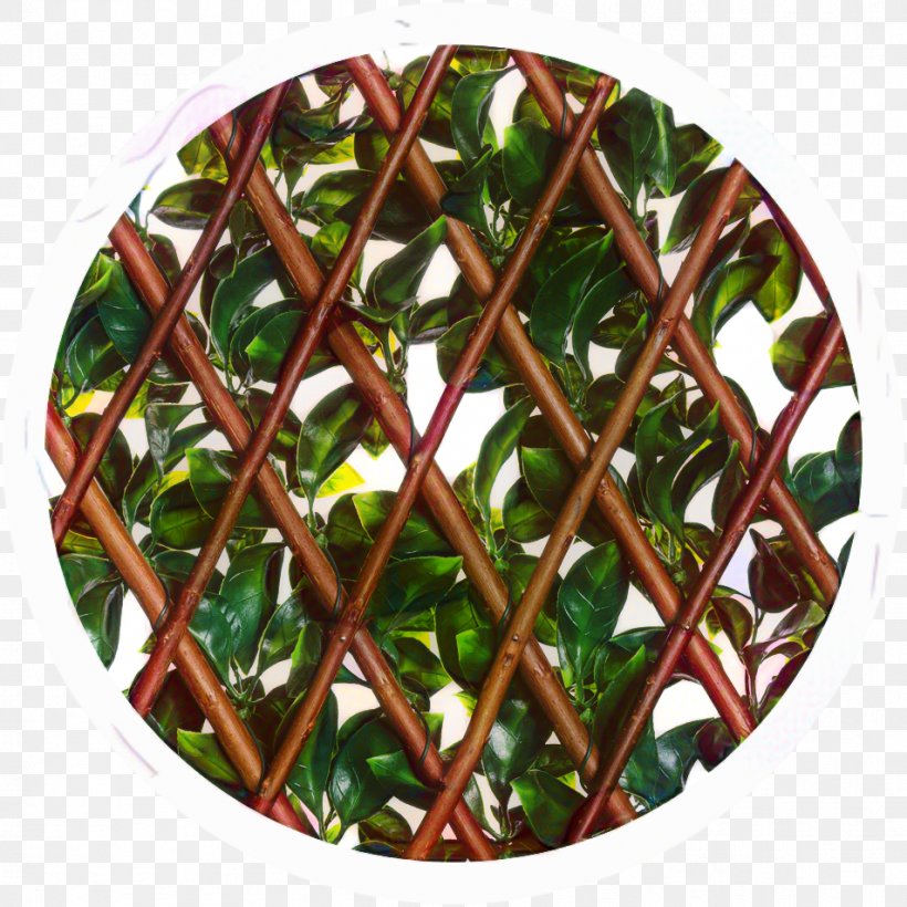 Green Leaf Background, PNG, 953x953px, Glass, Green, Leaf, Morning Glory, Orangutan Download Free