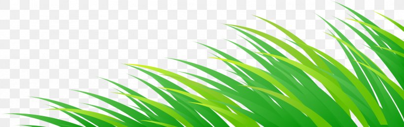 Illustration, PNG, 1822x575px, Royaltyfree, Cartoon, Grass, Grass Family, Green Download Free