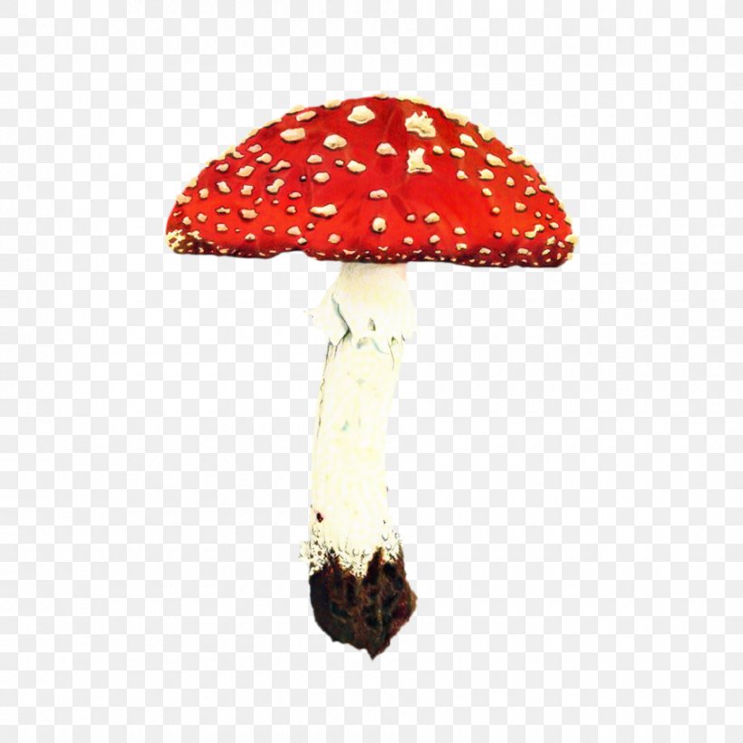 Mushroom Cartoon, PNG, 900x900px, Mushroom, Agaric, Agaricaceae, Agaricomycetes, Agaricus Download Free