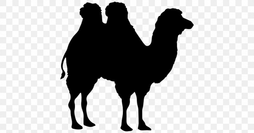 Bactrian Camel Dromedary Horse Silhouette, PNG, 1200x630px, Bactrian Camel, Arabian Camel, Black And White, Camel, Camel Like Mammal Download Free