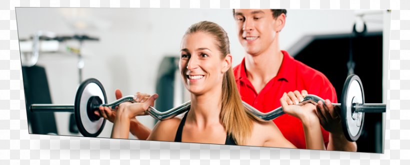 Certified Personal Trainer Fitness Centre Exercise 24 Hour Fitness, PNG, 878x355px, 24 Hour Fitness, Personal Trainer, Abdomen, Anytime Fitness, Arm Download Free