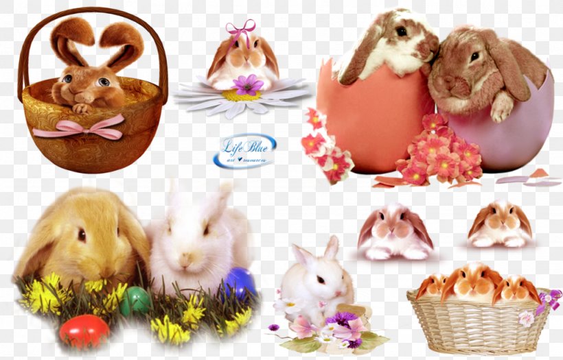 Domestic Rabbit Easter Bunny DeviantArt Photography, PNG, 1023x656px, Domestic Rabbit, Art, Deviantart, Easter, Easter Bunny Download Free