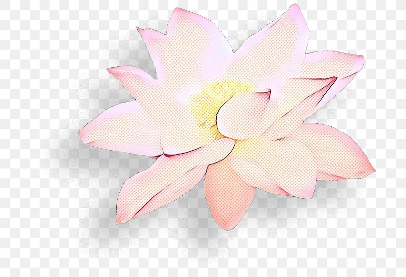Lily Flower Cartoon, PNG, 703x559px, Petal, Aquatic Plant, Artificial Flower, Blossom, Cut Flowers Download Free