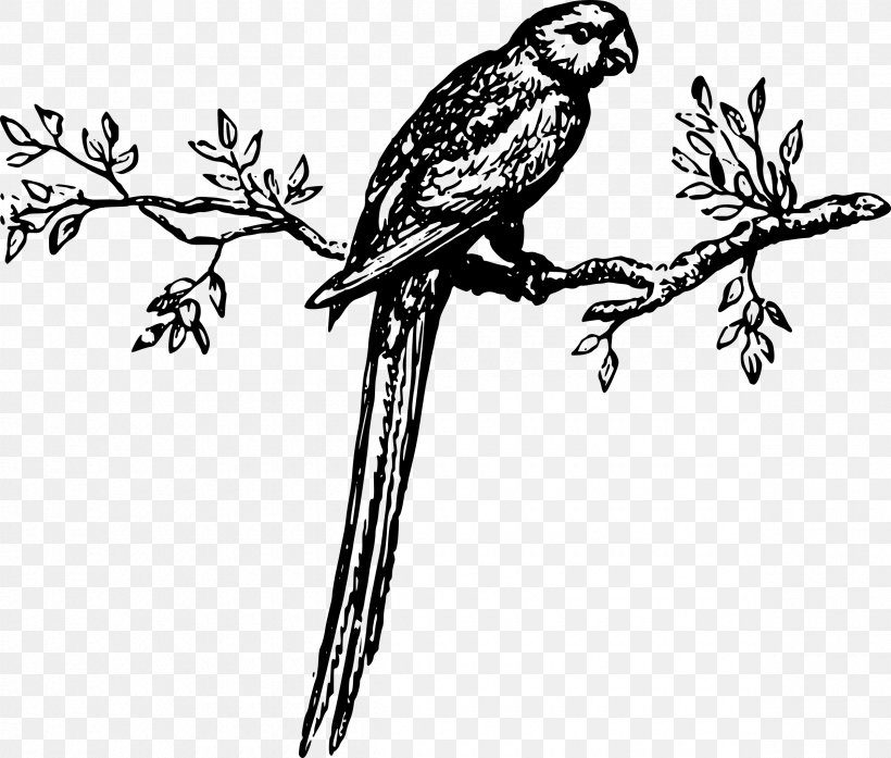 Parrot Bird Animal Macaw Clip Art, PNG, 2400x2040px, Parrot, Animal, Art, Artwork, Beak Download Free