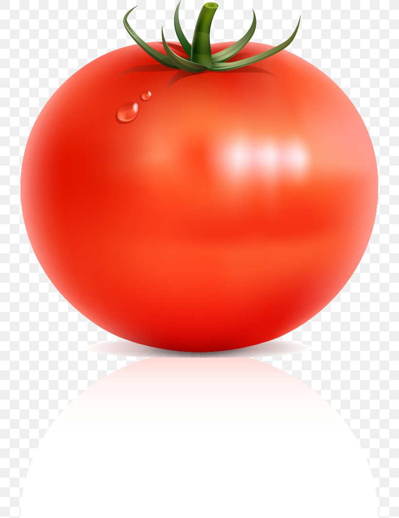 Tomato Fruit Vegetable, PNG, 735x1063px, Tomato, Apple, Berry, Bush Tomato, Diet Food Download Free