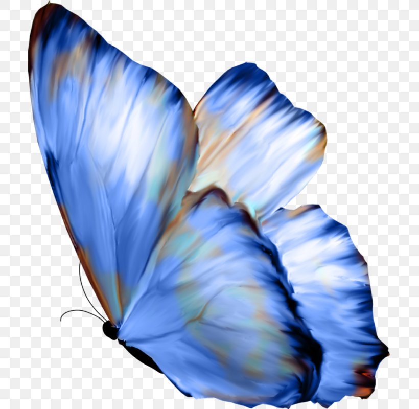 Butterfly Celastrina Ladon Mirror Paper, PNG, 709x800px, Butterfly, Art, Blue Butterfly, Butterflies And Moths, Celastrina Ladon Download Free