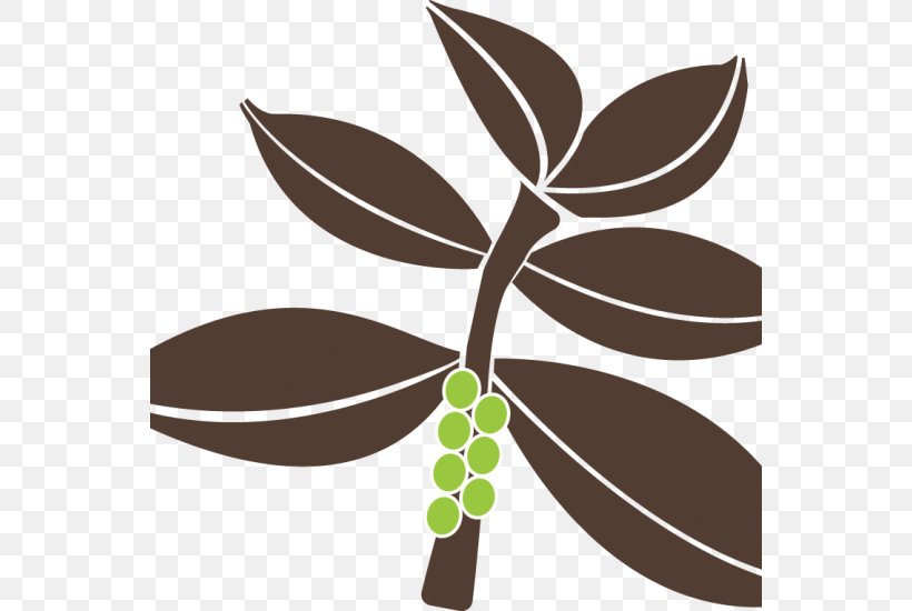 Clip Art Leaf Plant Stem, PNG, 550x550px, Leaf, Branch, Flora, Food, Plant Download Free