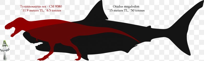 Great White Shark Megalodon Spinosaurus ARK: Survival Evolved, PNG, 1689x506px, Shark, Animal, Apex Predator, Ark Survival Evolved, Bite Force Quotient Download Free
