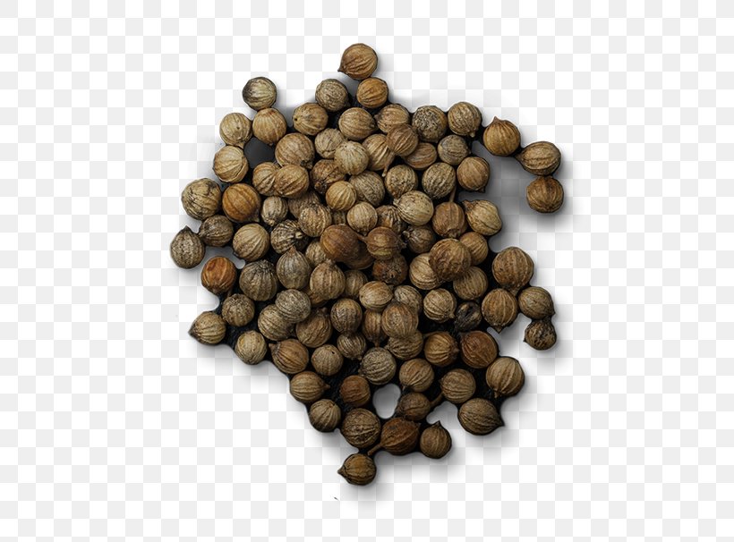 Perfume Spice Ingredient Seed Coriander, PNG, 606x606px, Perfume, Allspice, Aroma Compound, Bean, Cardamom Download Free