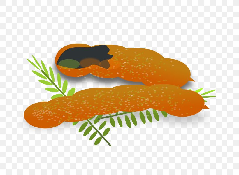 Tamarind Clip Art, PNG, 800x600px, Tamarind, Carrot, Drawing, Fish, Food Download Free