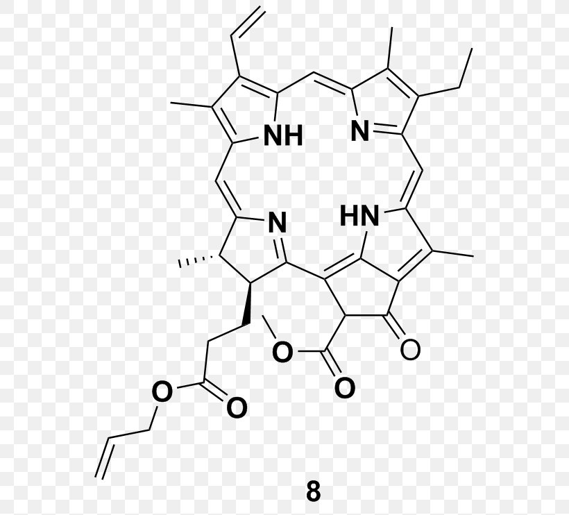 Chlorin Chlorophyll Porphyrin Chemical Reaction Pheophorbide A, PNG, 563x742px, Chlorin, Area, Black, Black And White, Chemical Reaction Download Free