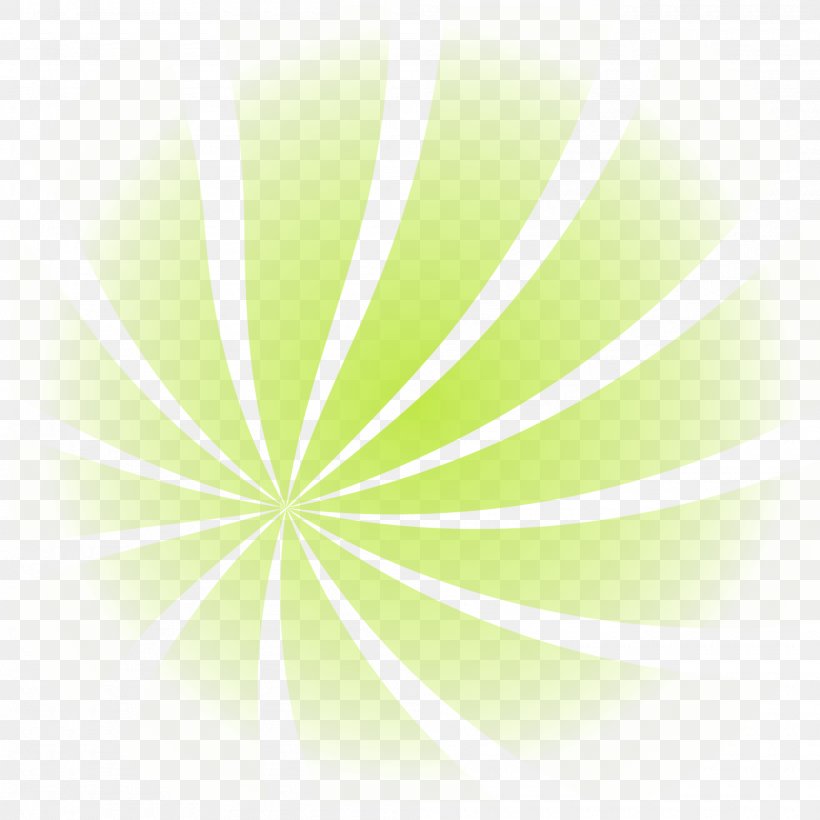 Desktop Wallpaper Sunlight Line Computer Font, PNG, 2000x2000px, Sunlight, Computer, Flower, Green, Leaf Download Free