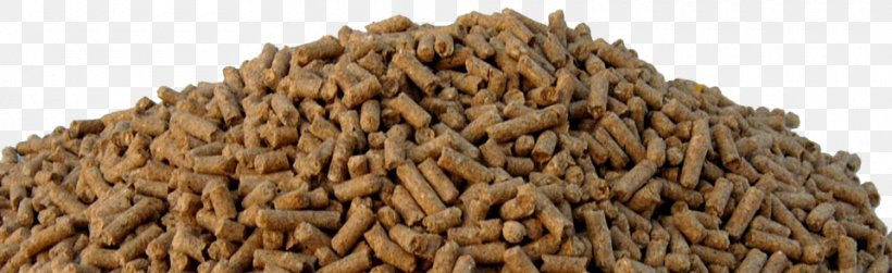Horse Equine Nutrition Animal Feed Fodder Pelletizing, PNG, 960x295px, Horse, Animal Feed, Cereal Germ, Commodity, Dinkel Wheat Download Free