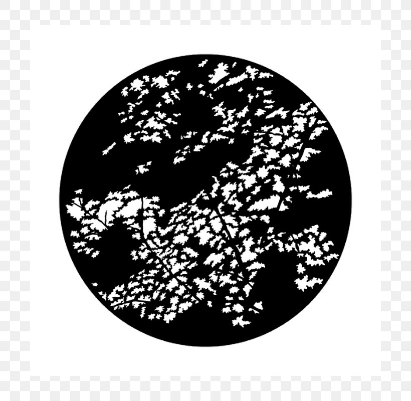 Light Gobo Forest Floor Branch, PNG, 800x800px, Light, Black, Black And White, Branch, Candle Download Free