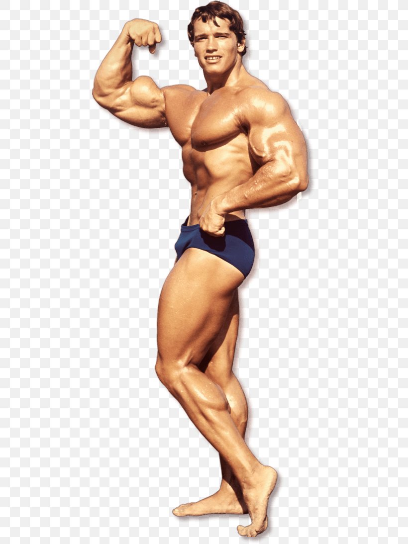 Arnold Schwarzenegger Bodybuilding Dietary Supplement Mr. Olympia Physical Exercise, PNG, 450x1094px, Watercolor, Cartoon, Flower, Frame, Heart Download Free