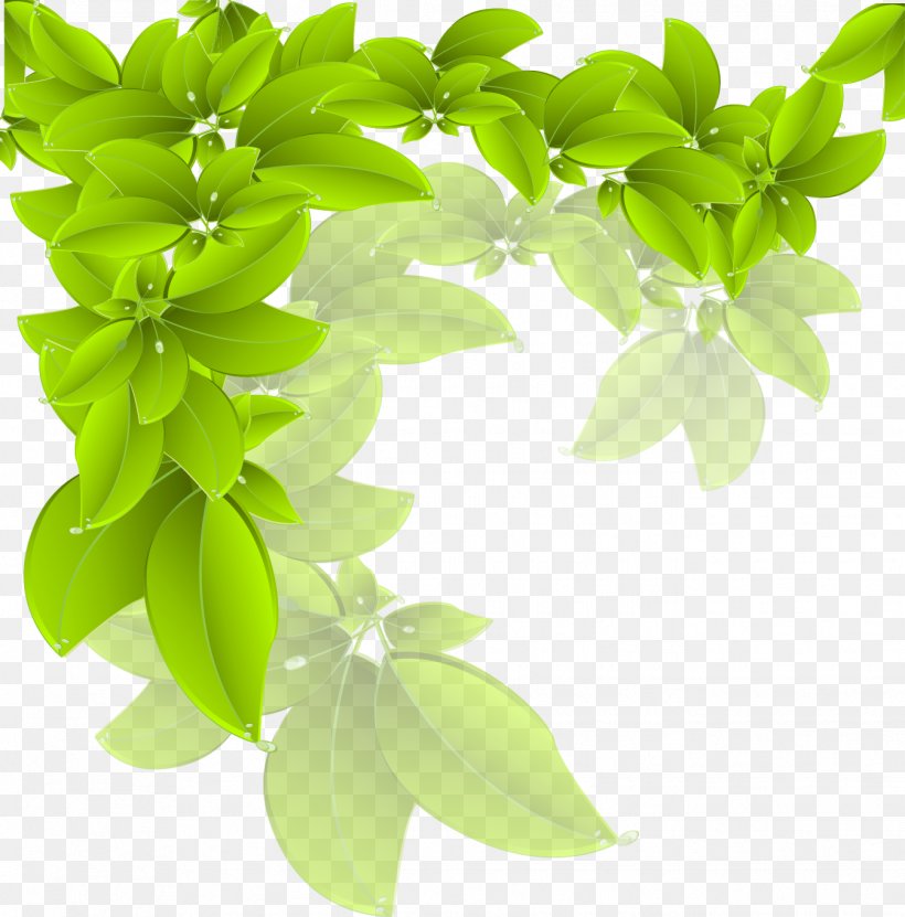 Branch Green Leaf, PNG, 1344x1363px, Branch, Basil, Flowerpot, Grass, Green Download Free