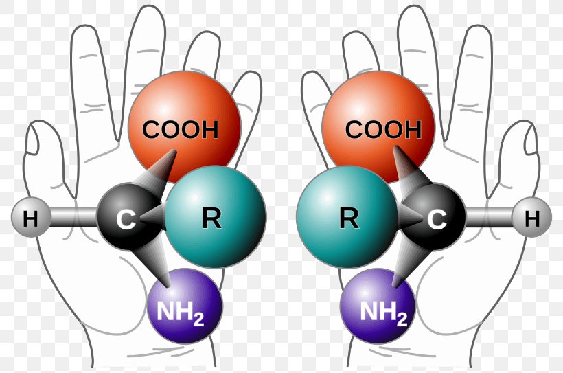 Chirality Stereocenter Mirror Image Molecule Chemistry, PNG, 800x543px, Chirality, Alanine, Amino Acid, Amino Acid Dating, Asymmetric Carbon Download Free