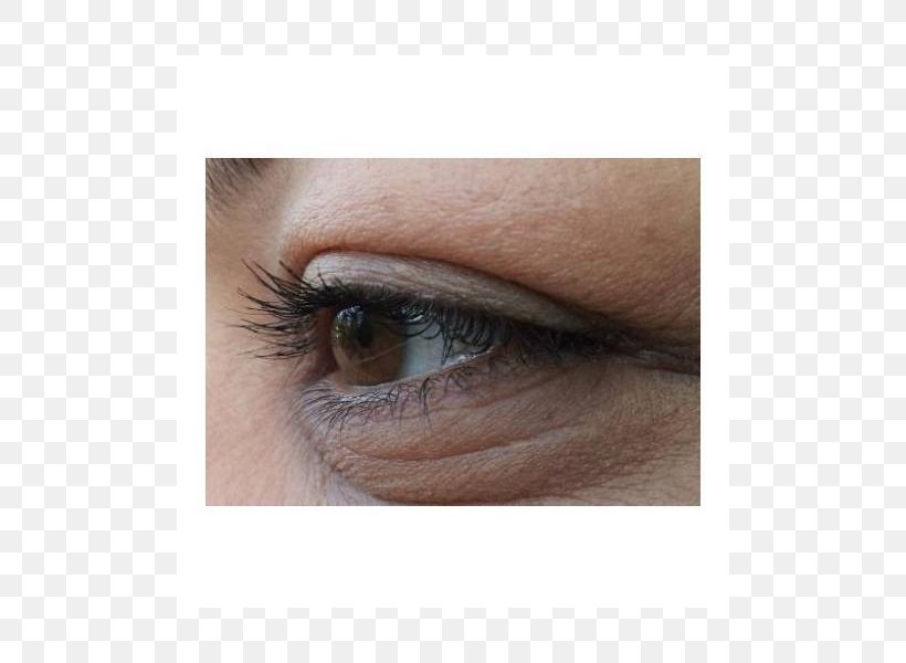 Eyelash Extensions Eye Liner Eye Shadow Lip Liner, PNG, 800x600px, Watercolor, Cartoon, Flower, Frame, Heart Download Free
