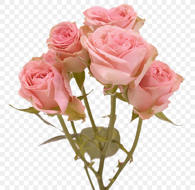 Garden Roses Cut Flowers Flower Bouquet Floral Design, PNG, 744x800px, Garden Roses, Artificial Flower, Cabbage Rose, Cut Flowers, Floral Design Download Free