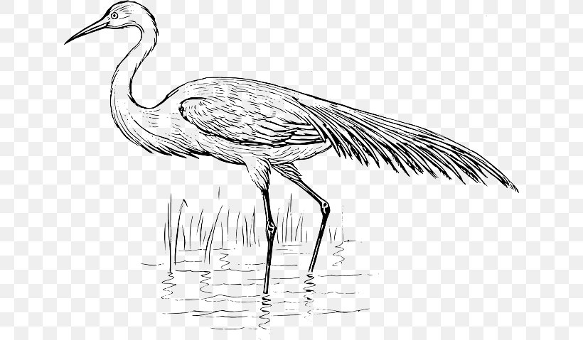 Heron Bird Crane Vertebrate Egret, PNG, 640x479px, Heron, Artwork, Beak, Bird, Black And White Download Free