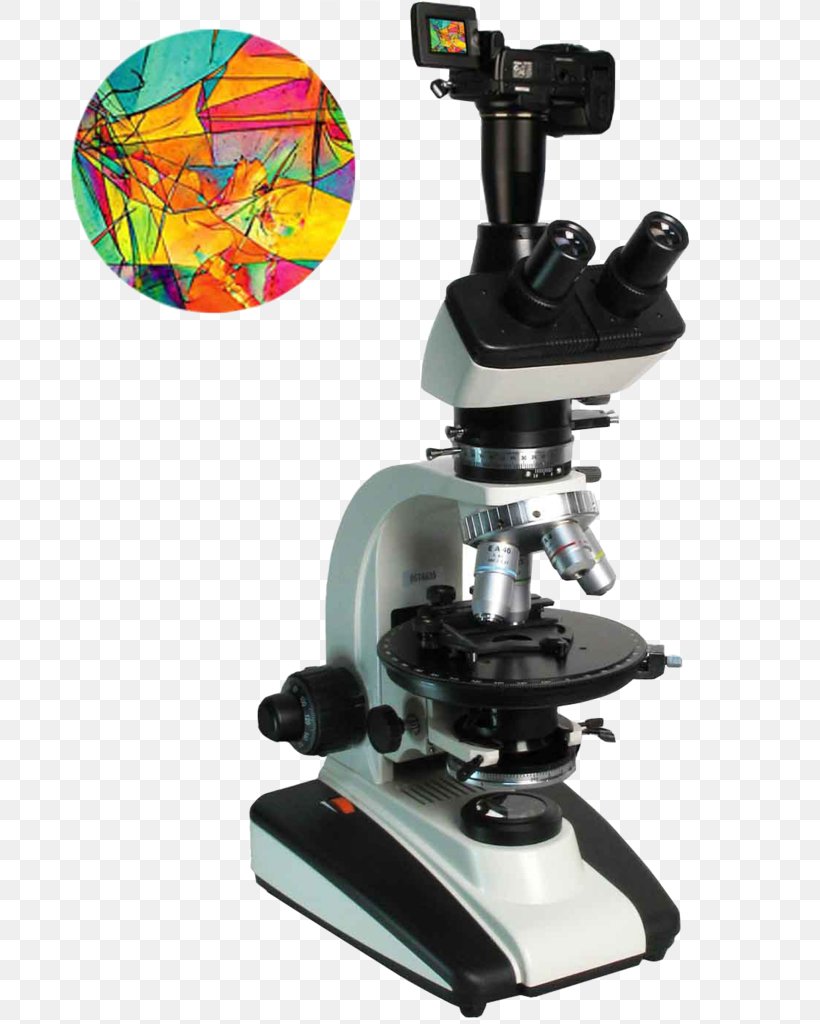 Microscope Light Polarizing Filter, PNG, 731x1024px, Microscope, Camera Lens, Digital Microscope, Eyepiece, Light Download Free