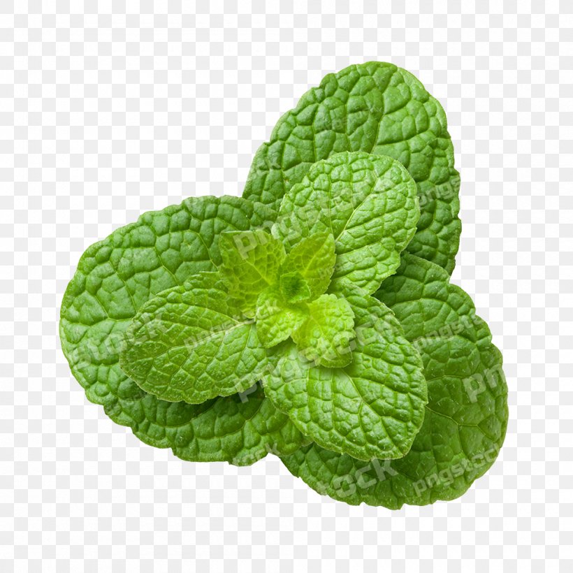 Tea Mentha Spicata Peppermint Herb Plant, PNG, 1000x1000px, Tea, Bay Leaf, Electronic Cigarette, Food, Gourd Download Free