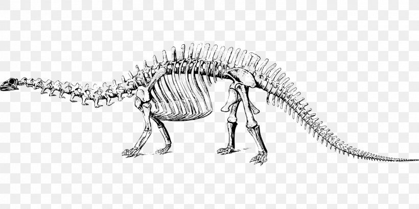 Apatosaurus Brontosaurus Tyrannosaurus Diplodocus Dinosaur, PNG, 1920x960px, Apatosaurus, Black And White, Bone, Brontosaurus, Dinosaur Download Free