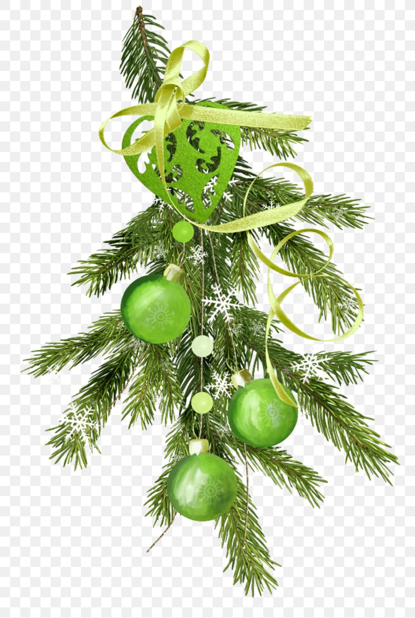 Christmas Ornament Spruce New Year Fir, PNG, 800x1221px, Christmas Ornament, Branch, Christmas, Christmas Decoration, Christmas Tree Download Free