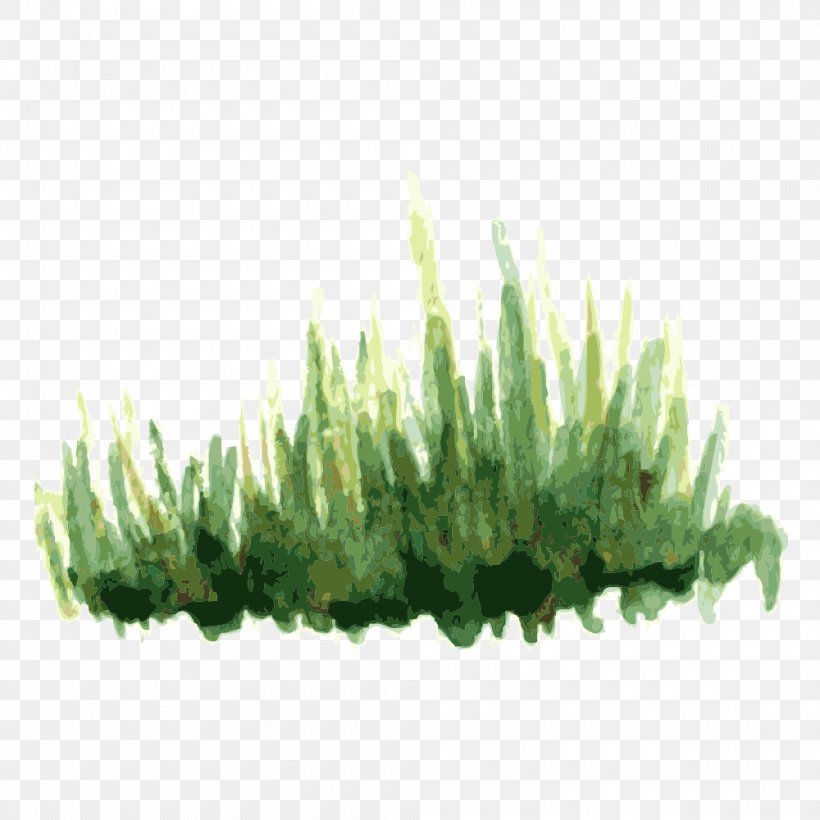 Tree Plant, PNG, 1000x1000px, Tree, Designer, Drawing, Force, Grass Download Free