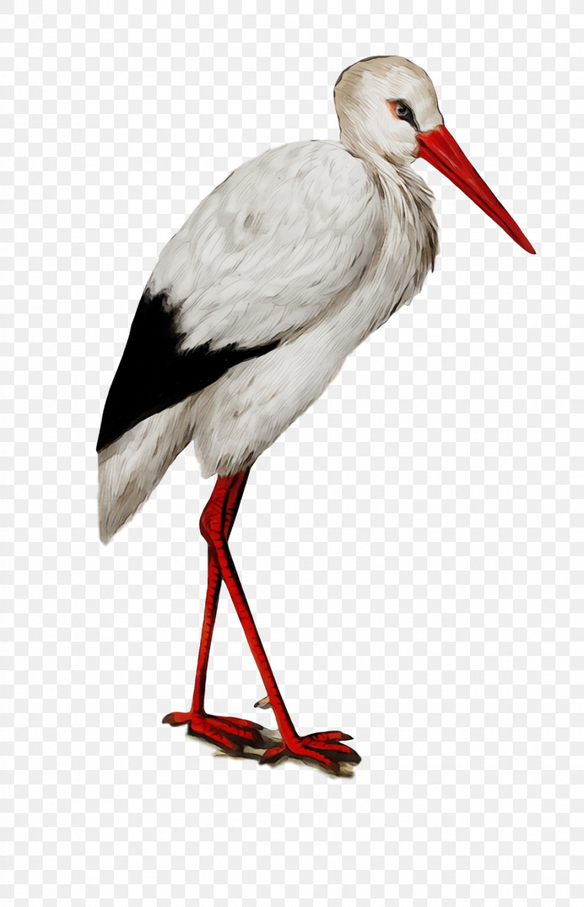 White Stork Birds Giant Panda Alamy Greater Adjutant, PNG, 928x1440px, Watercolor, Alamy, Birds, Cartoon, Ciconia Download Free