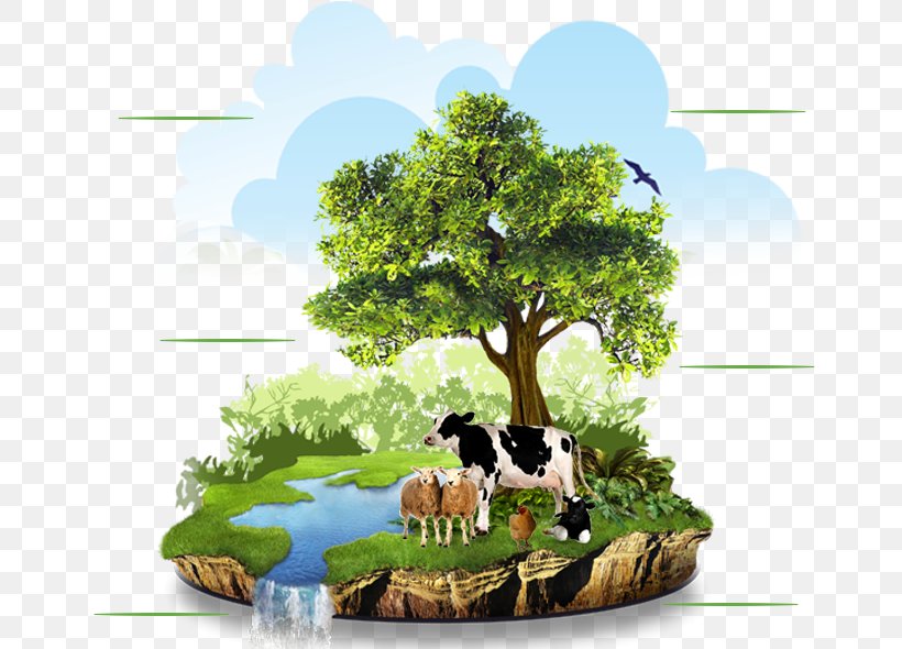 Agriculture Organic Food Organic Farming Natural Environment, PNG, 685x590px, Agriculture, Business, Conservation, Crop, Energy Conservation Download Free