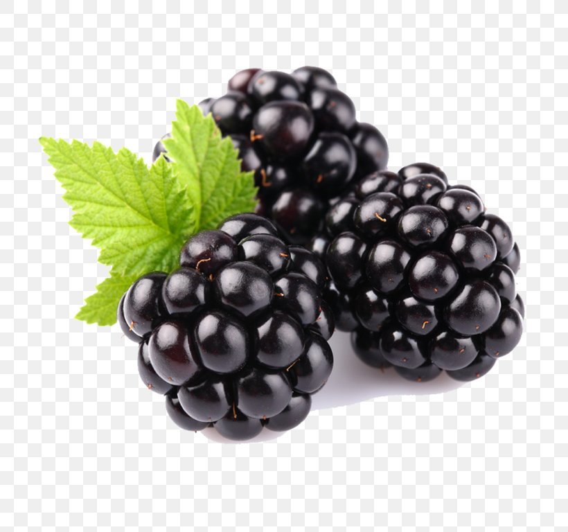 Berry Blackberry Fruit Rubus Plant, PNG, 768x768px, Berry, Blackberry, Boysenberry, Dewberry, Food Download Free