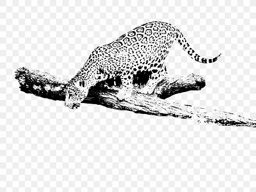 Leopard Jaguar Cars Jaguar R-Coupe Cheetah 2015 Jaguar F-TYPE R, PNG, 1600x1200px, Leopard, Animal Figure, Big Cats, Black And White, Carnivoran Download Free