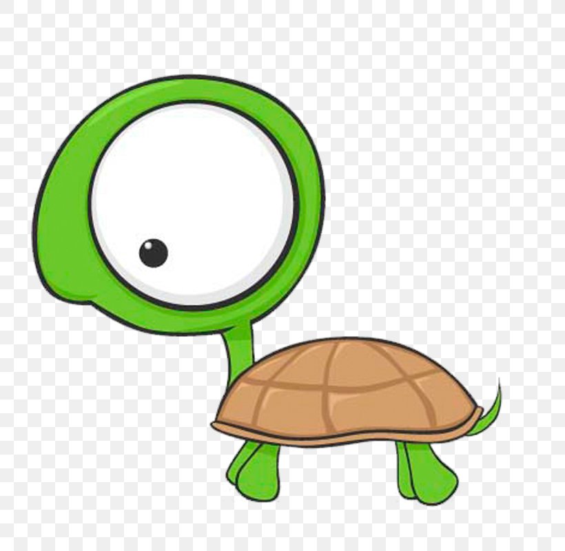 Turtle Cartoon Drawing Clip Art, PNG, 800x800px, Turtle, Cartoon, Drawing,  Grass, Green Download Free
