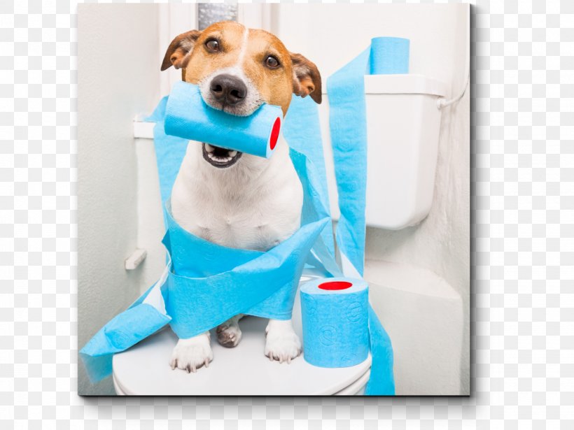 Dog Pet Sitting Puppy Diarrhea, PNG, 1400x1050px, Dog, Carnivoran, Child, Companion Dog, Constipation Download Free