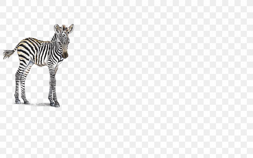 Kangal Dog Foal Zebra Horse Quagga, PNG, 903x565px, Kangal Dog, Animal, Animal Figure, Bedroom, Black And White Download Free
