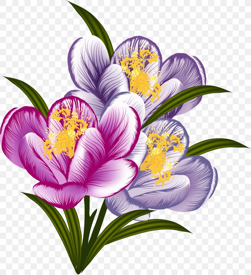Crocus Flower Floral Design Clip Art, PNG, 1590x1743px, Crocus, Art, Cut Flowers, Drawing, Floral Design Download Free